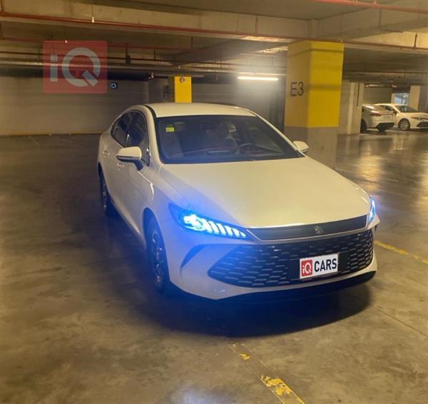BYD Qin Plus 2025 for sale in Iraq - Duhok